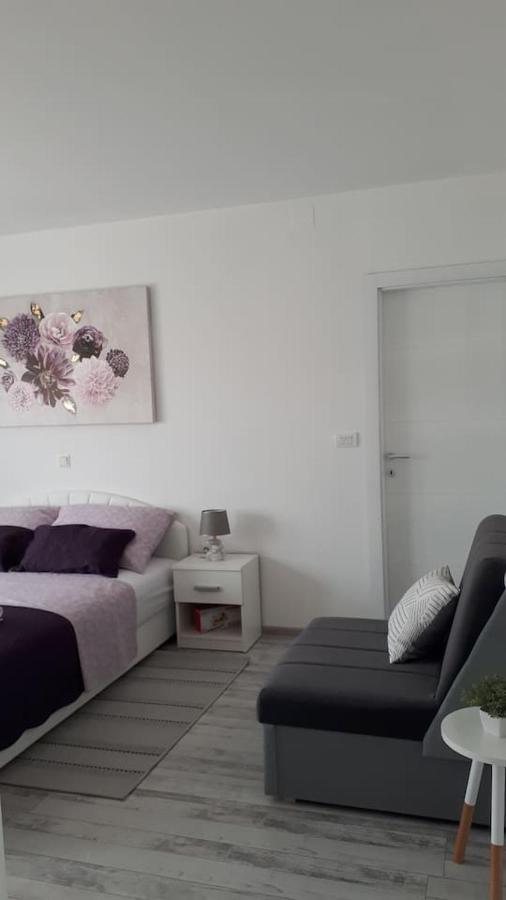 Apartman Lidija Dinjiska Экстерьер фото