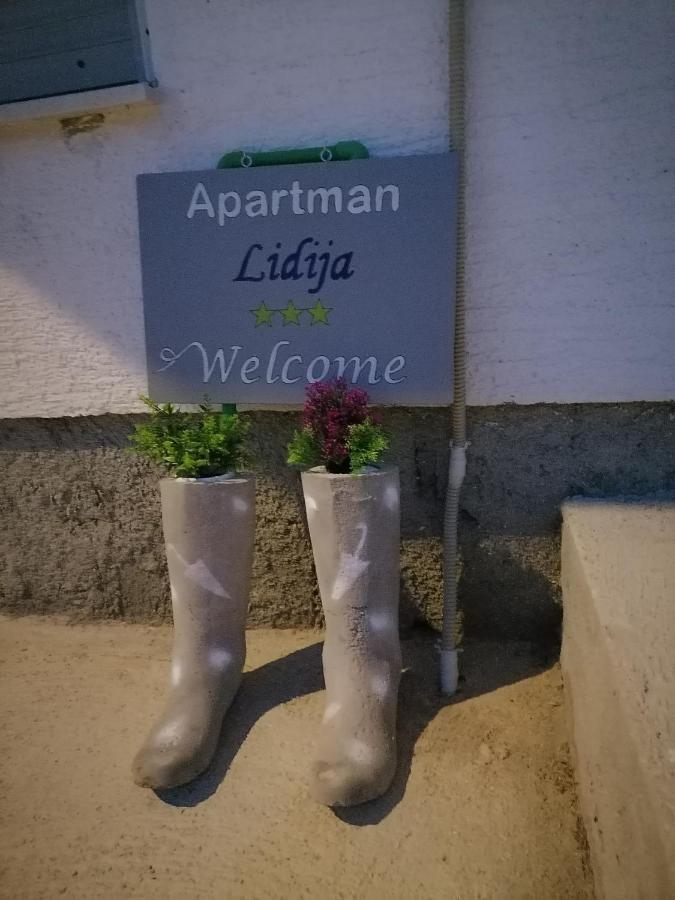 Apartman Lidija Dinjiska Экстерьер фото